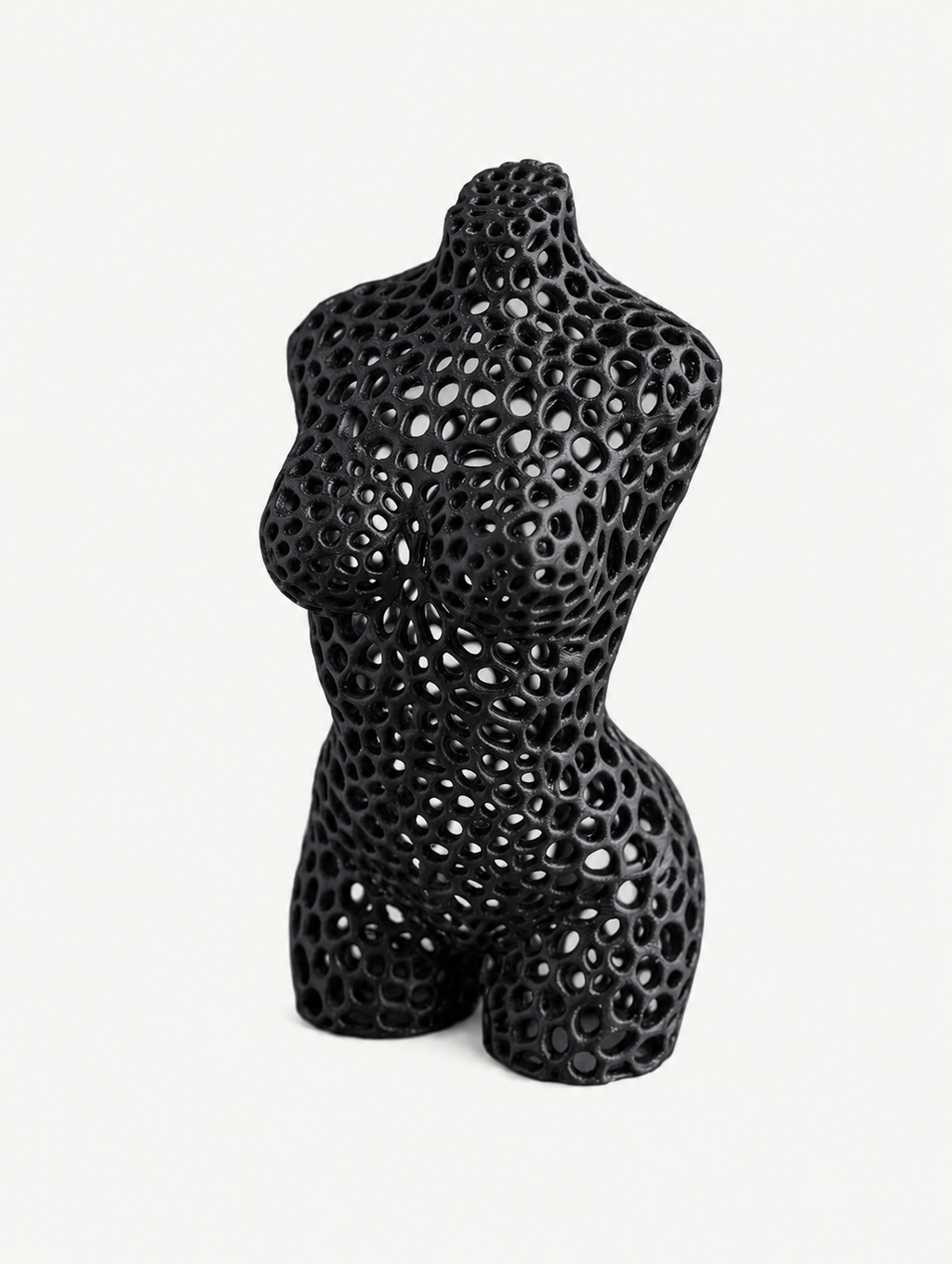Voronoi Woman Luca