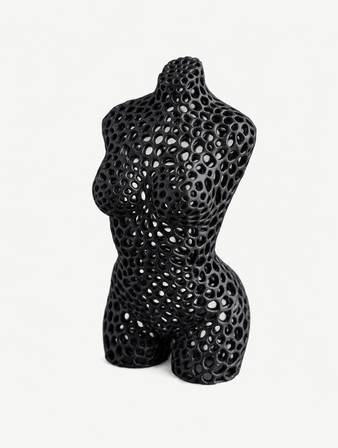 Voronoi Woman Luca