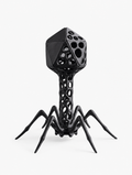 Voronoi Bacteriophage