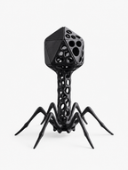 Voronoi Bacteriophage