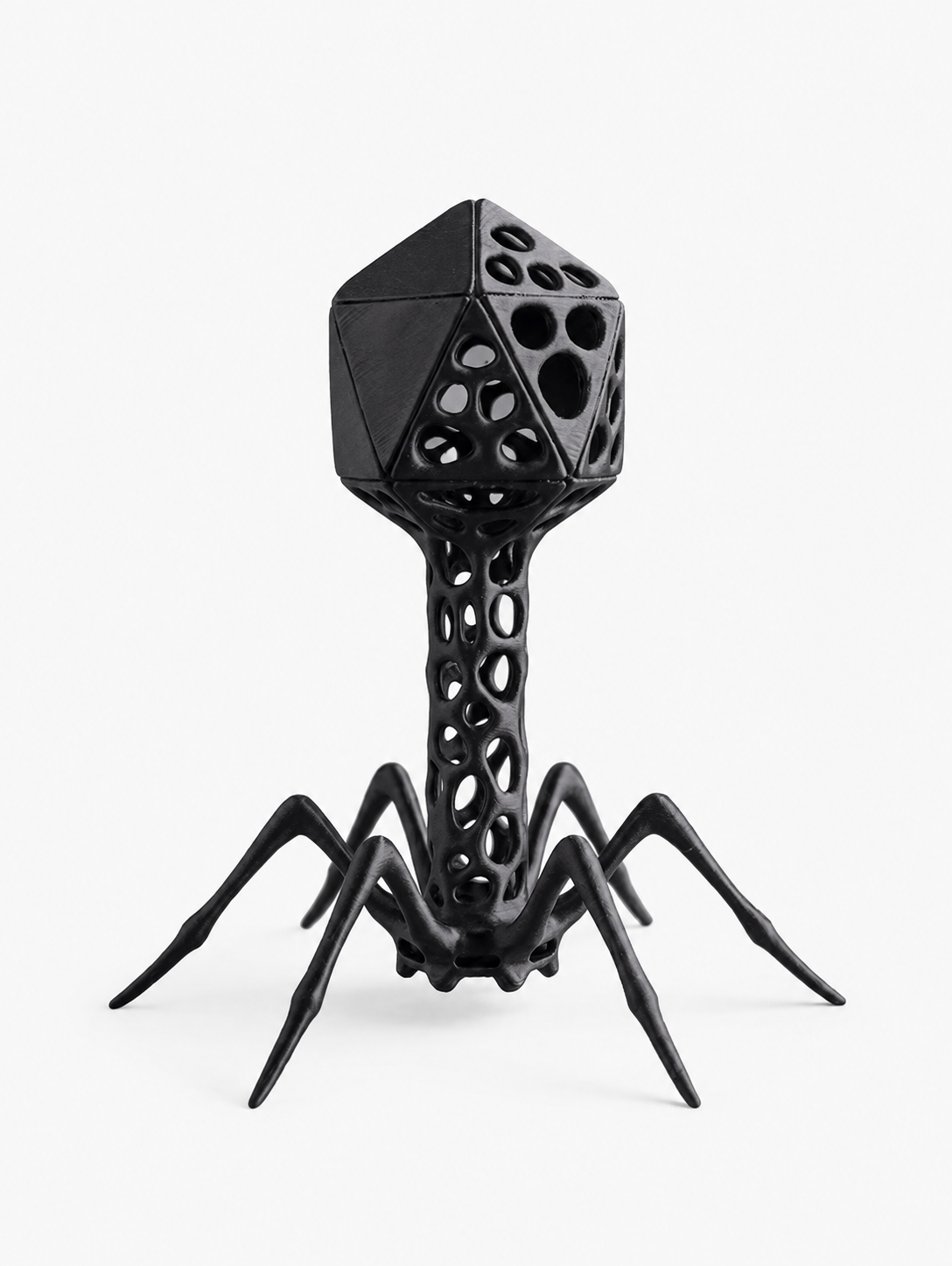 Voronoi Bacteriophage