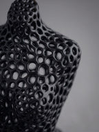 Voronoi Woman Luca