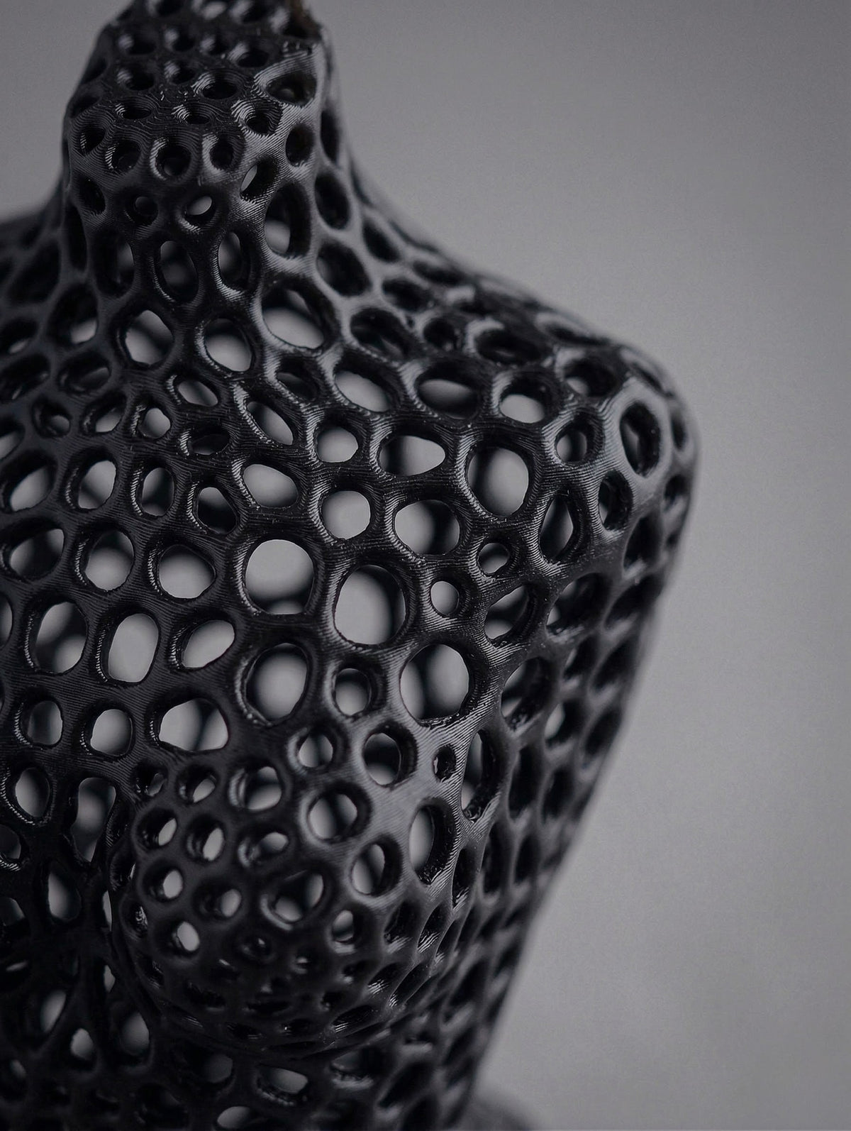 Voronoi Woman Luca