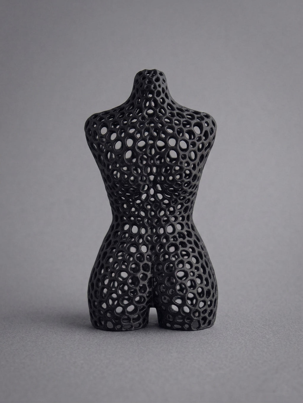 Voronoi Woman Luca