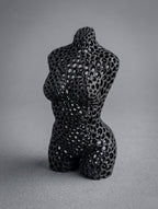 Voronoi Woman Luca
