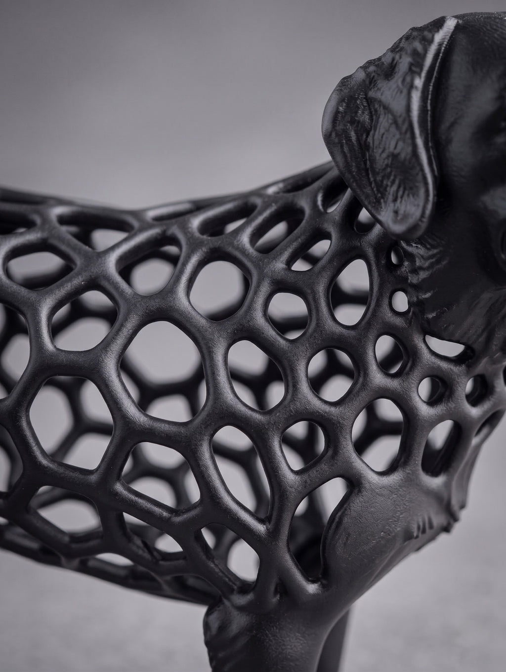 Voronoi Dog Timo