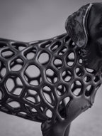 Voronoi Dog Timo