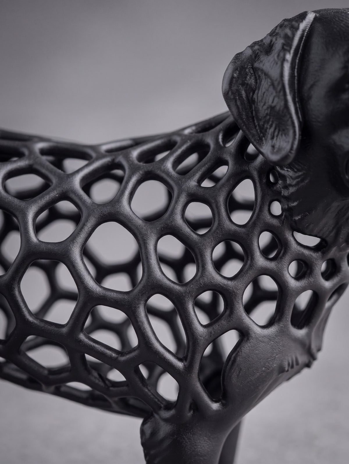 Voronoi Dog Timo