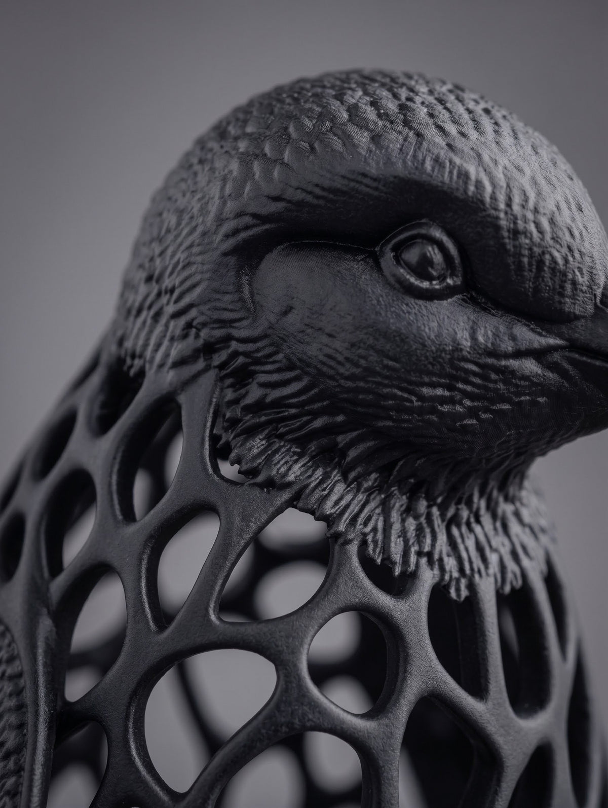 Voronoi Pinguin Viktor