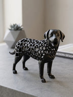 Voronoi Dog Timo