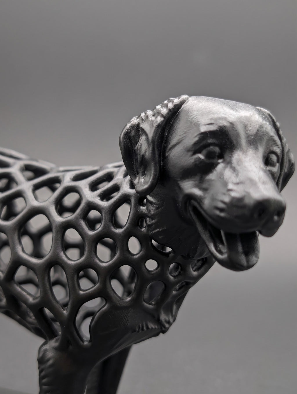 Voronoi Dog Timo