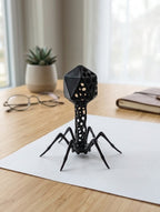 Voronoi Bacteriophage